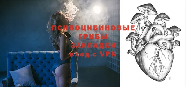 стаф Горняк