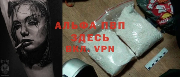 стаф Горняк