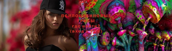 стаф Горняк