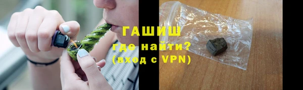 стаф Горняк