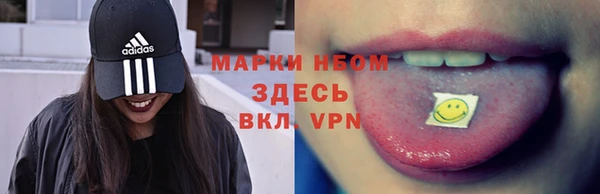 стаф Горняк