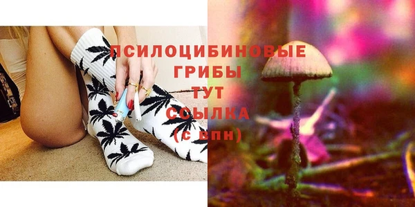 стаф Горняк