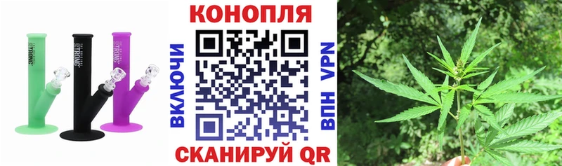 MEGA ссылки  площадка какой сайт  Шишки марихуана тримм  Пестово 